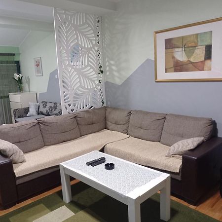Apartment Vila Jezero Zlatibor Bagian luar foto